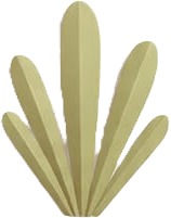 a green plant with a white background.jpg